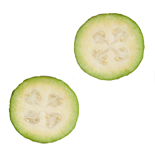 Feijoa Png Transparent (lavender, white)