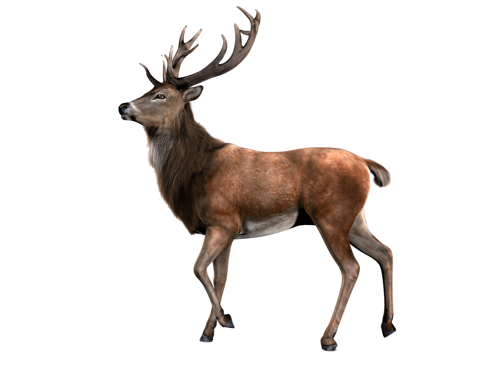 Reindeer Png File (black)