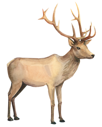 Reindeer Png Isolated Pic (pink, black)