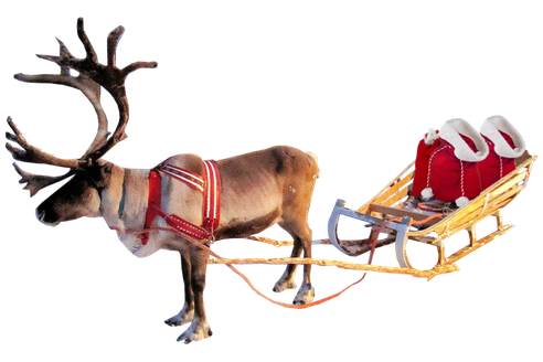 Reindeer Transparent Isolated Background (black)