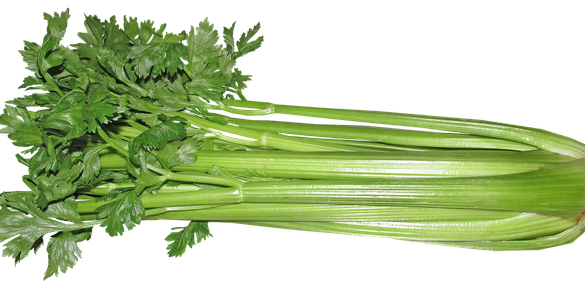 Celery Sticks Bunch Png Clipart (black, gray)