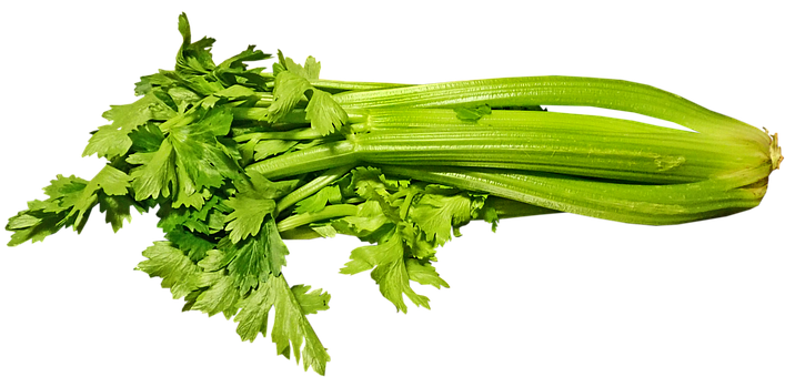 Celery Sticks Bunch Png Transparent Image (black, olive, gold)