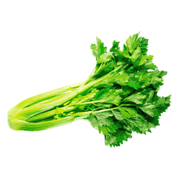 Celery Sticks Bunch Transparent Png (black, green)