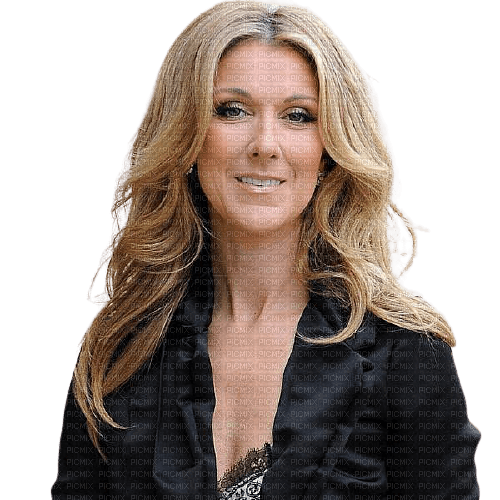 Celine Dion Png Transparent (black, gray)