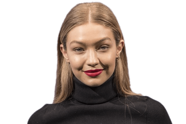 Bella Hadid Png File (black, gray)