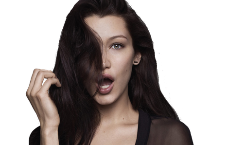 Bella Hadid Png Pic (black)