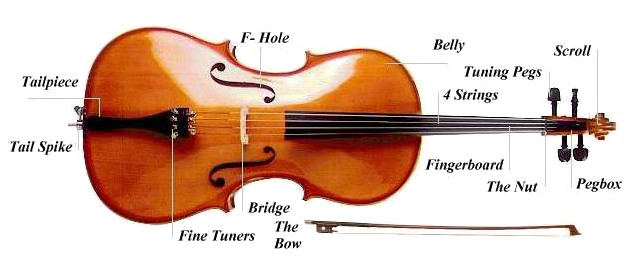 Cello Png Picture (white)