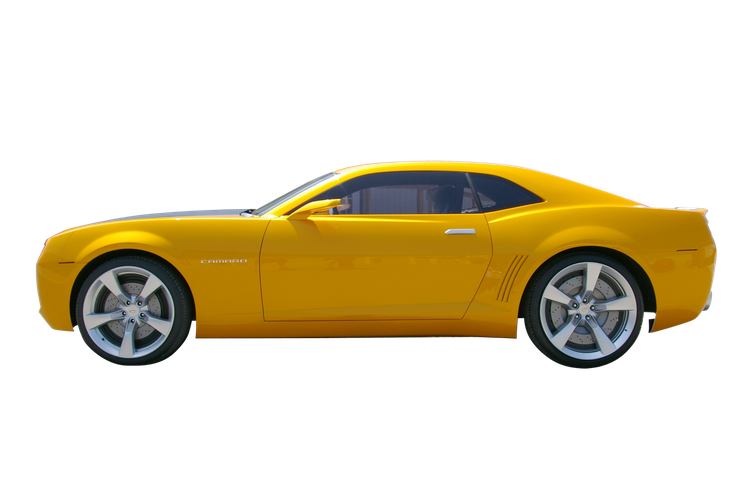 Yellow Camaro Transparent Background (black, chocolate)