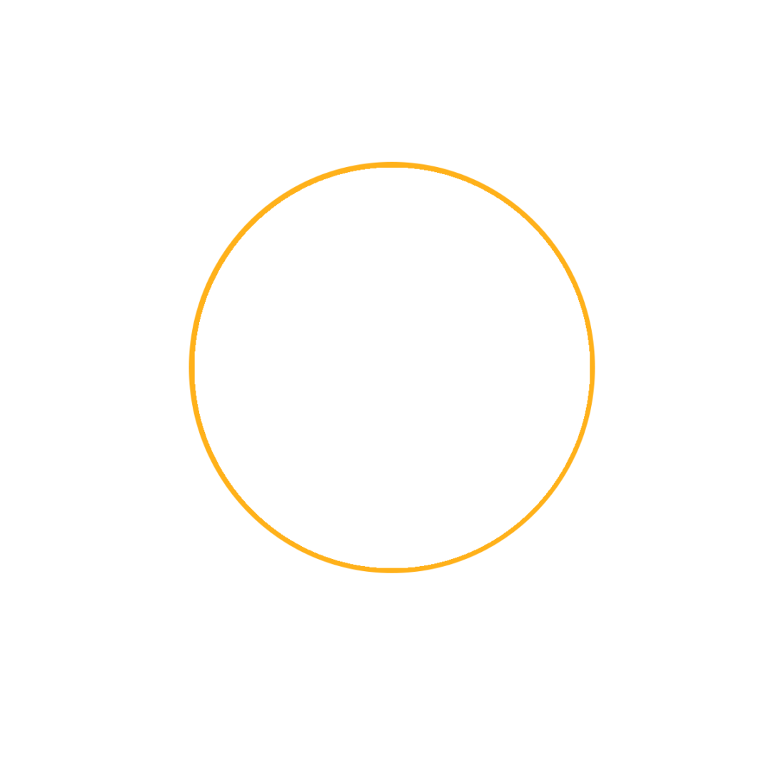 Yellow Circle Png Photo (chocolate, black, olive)