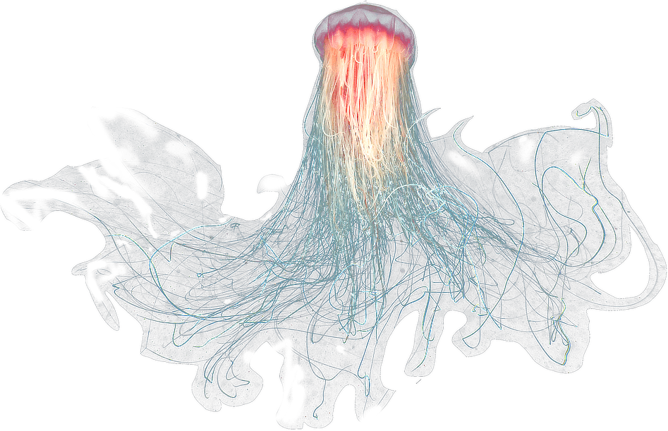 Jellyfish Png Image File (black, gray)