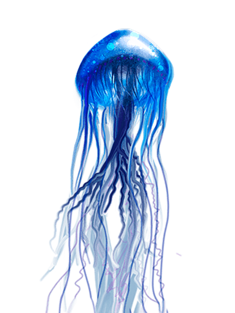 Jellyfish Png Photos (white, silver)