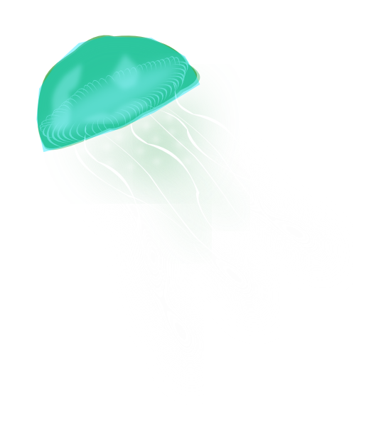 Jellyfish Png Picture (white)