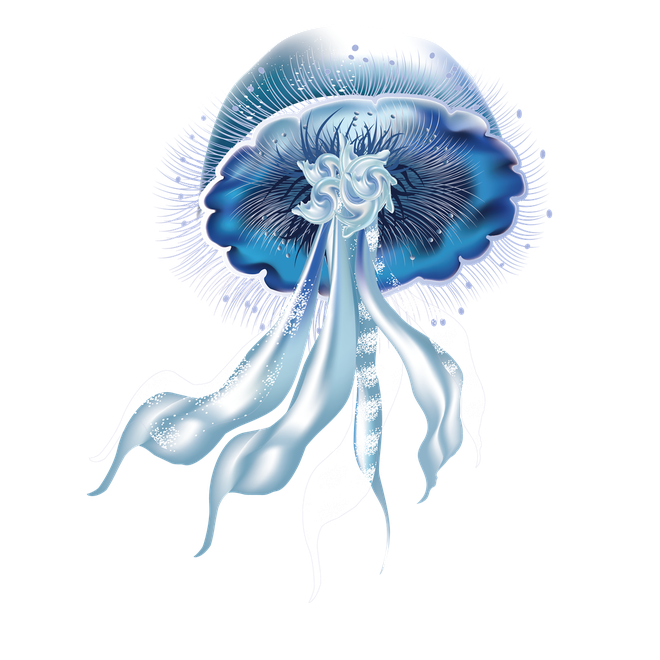 Jellyfish Png Picture (black, white)