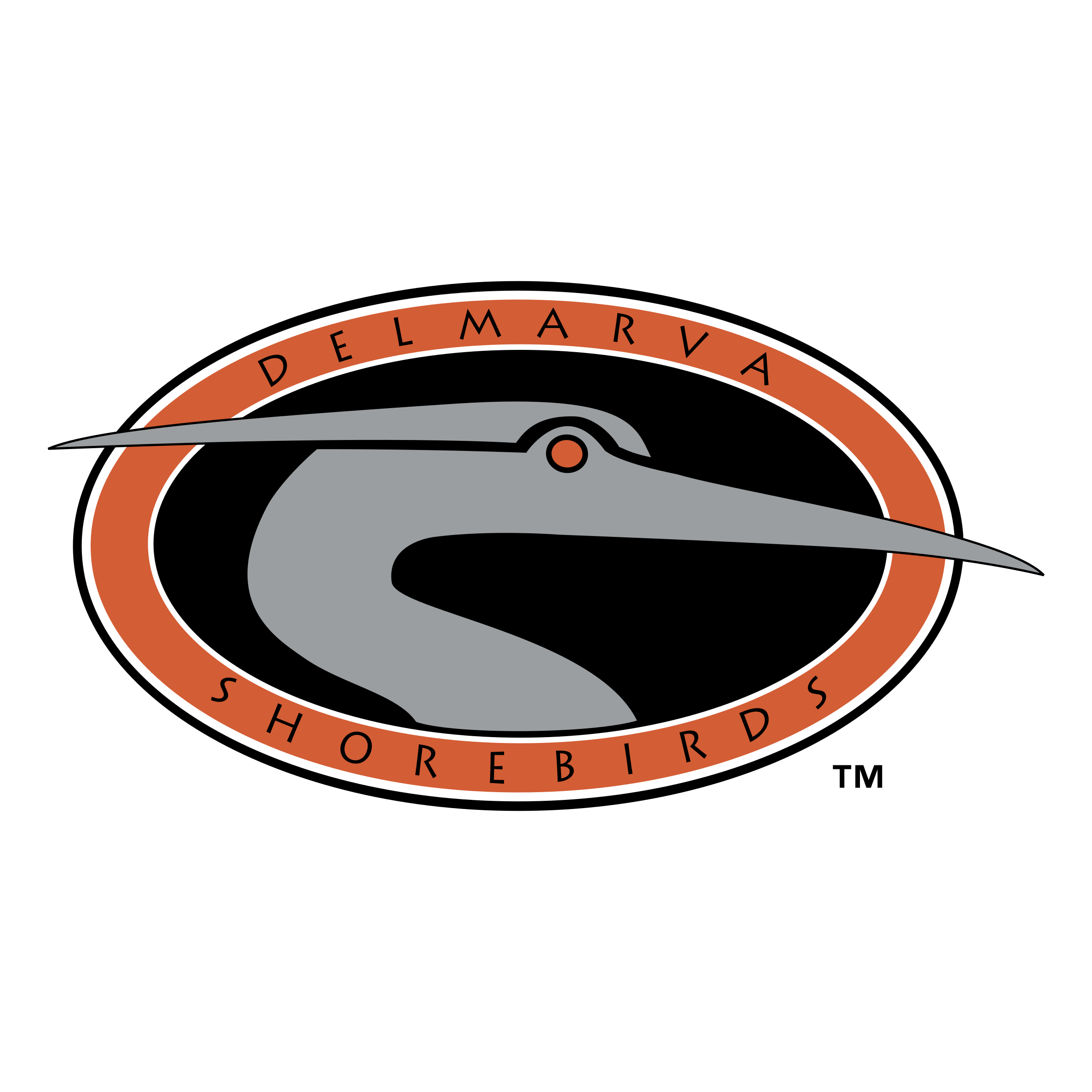 Delmarva Shorebirds Png Hd (gray, black, silver, chocolate)