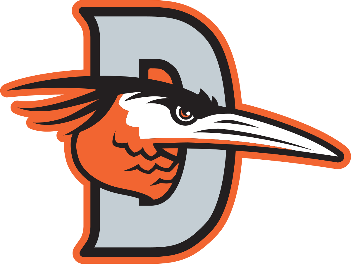 Delmarva Shorebirds Png Image (white, black, silver, chocolate)