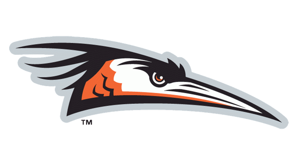 Delmarva Shorebirds Png Photo (lavender, black, silver, white)