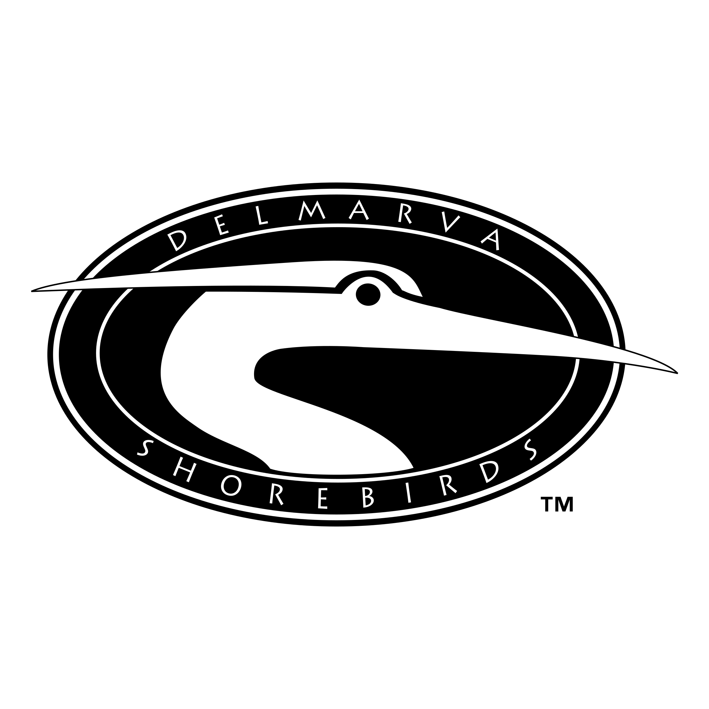 Delmarva Shorebirds Png Pic (gray, black, white)