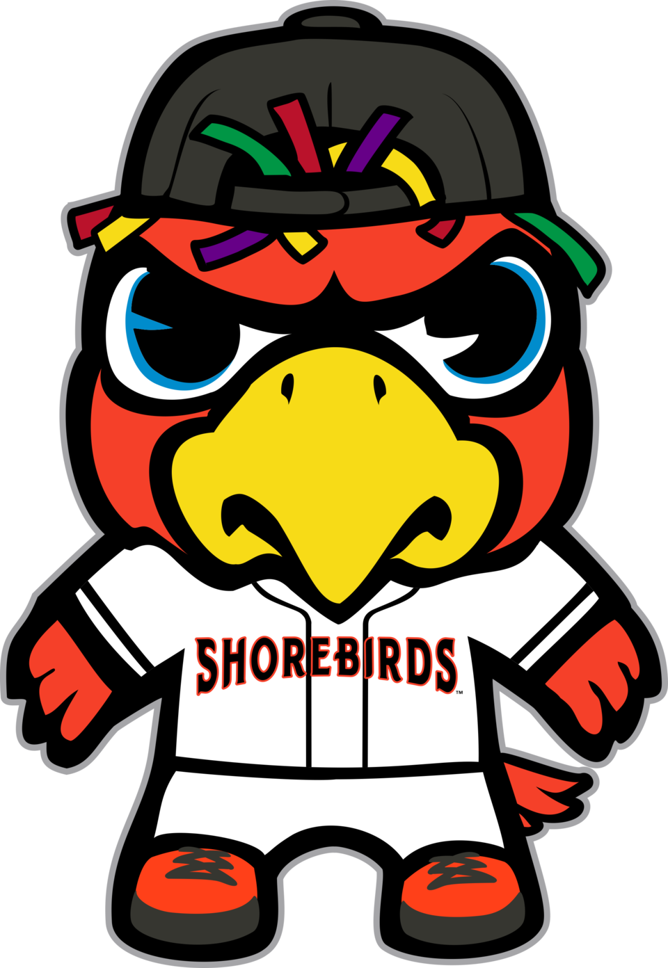 Delmarva Shorebirds Png (chocolate, black, white, gold)