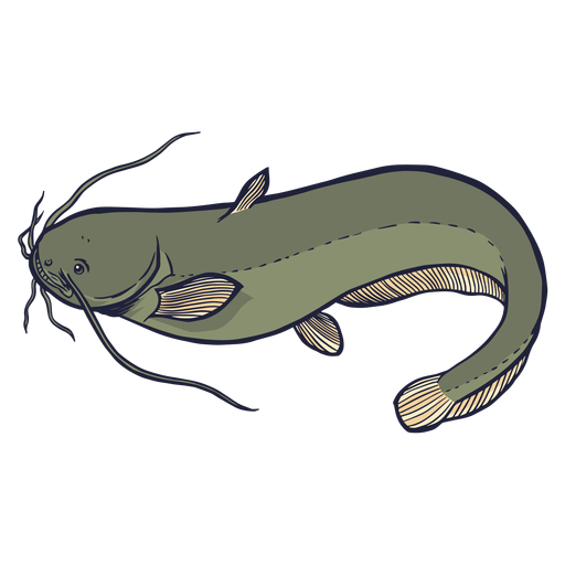 Wels Catfish Png Free Download (gray)