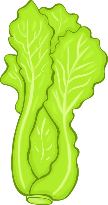 Celtuce Png Transparent Image (black, yellow, gold)