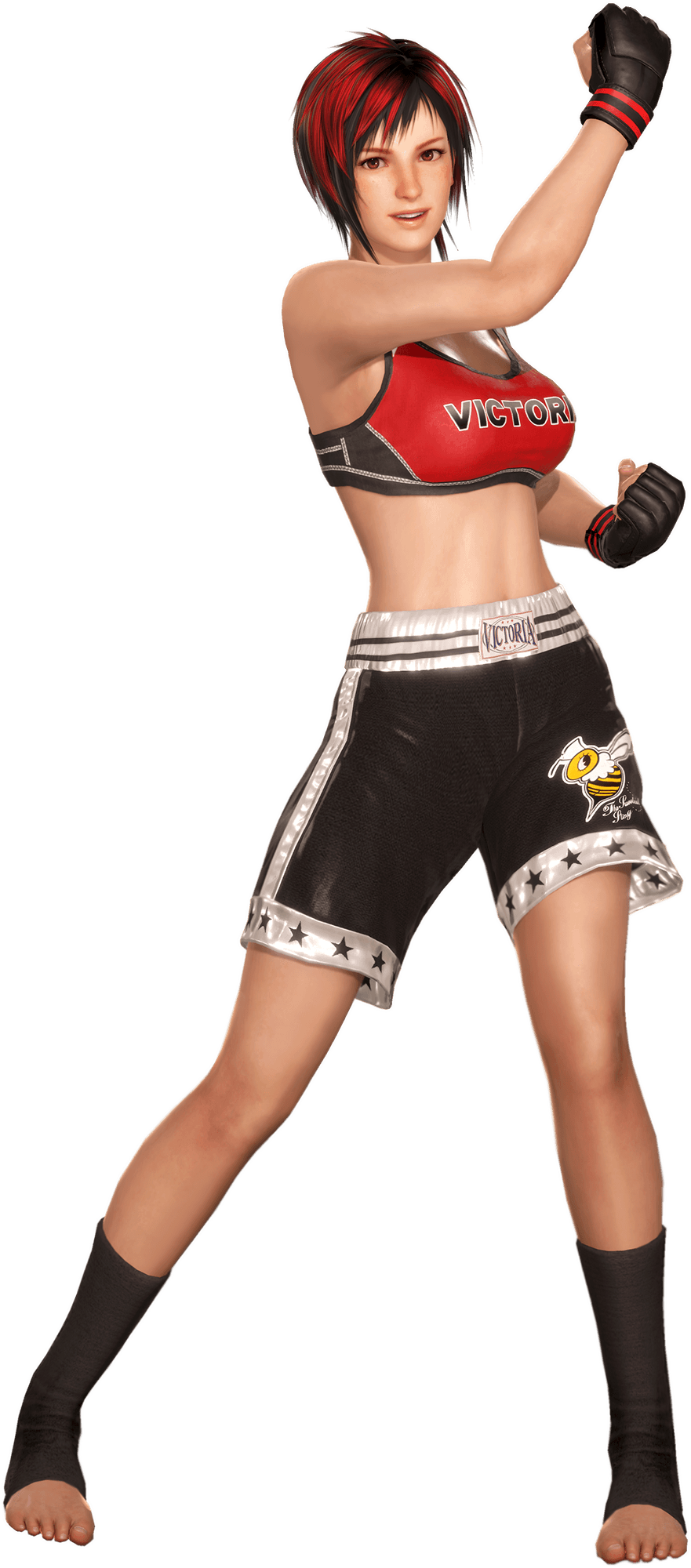 Female Boxer Png Transparent Picture (black, gray)