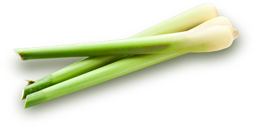 Lemongrass Png Isolated Photo (black)