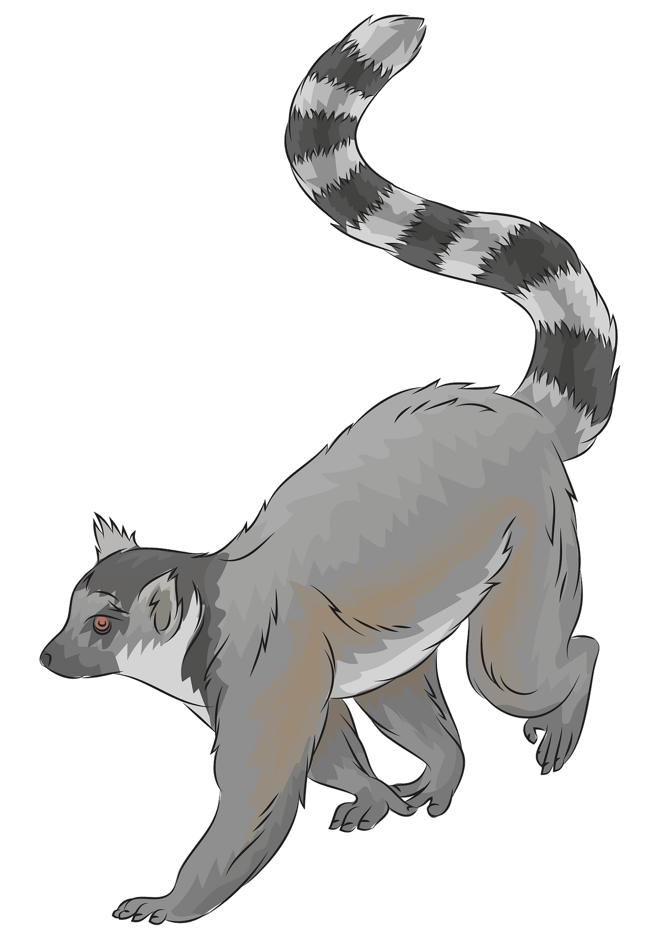 Lemur Png Image File (gray, silver)