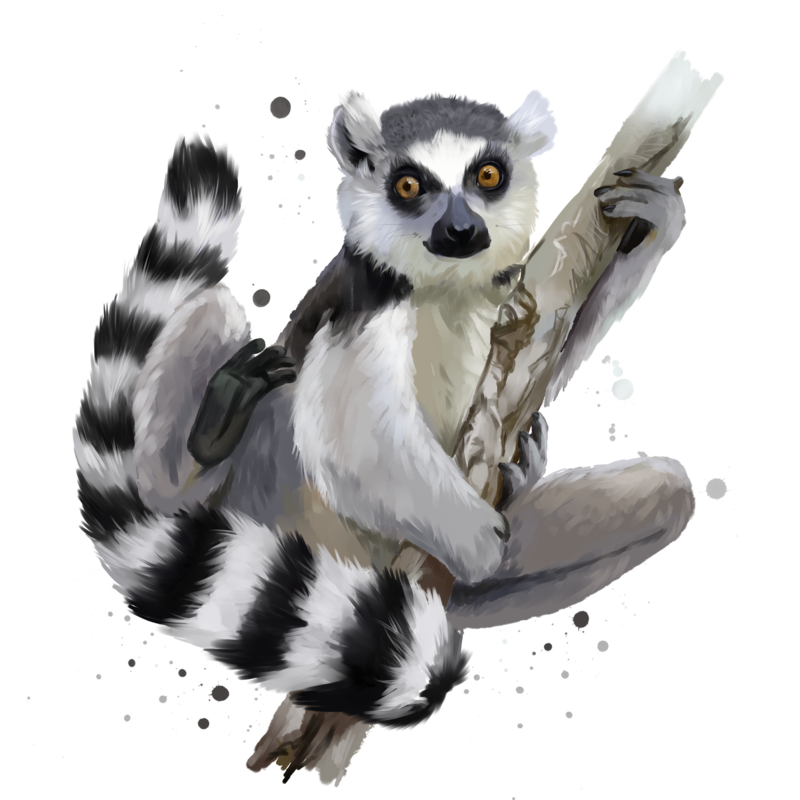 Lemur Png Images (black)