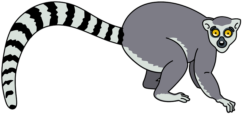 Lemur Vector Png Cutout (black, gray)