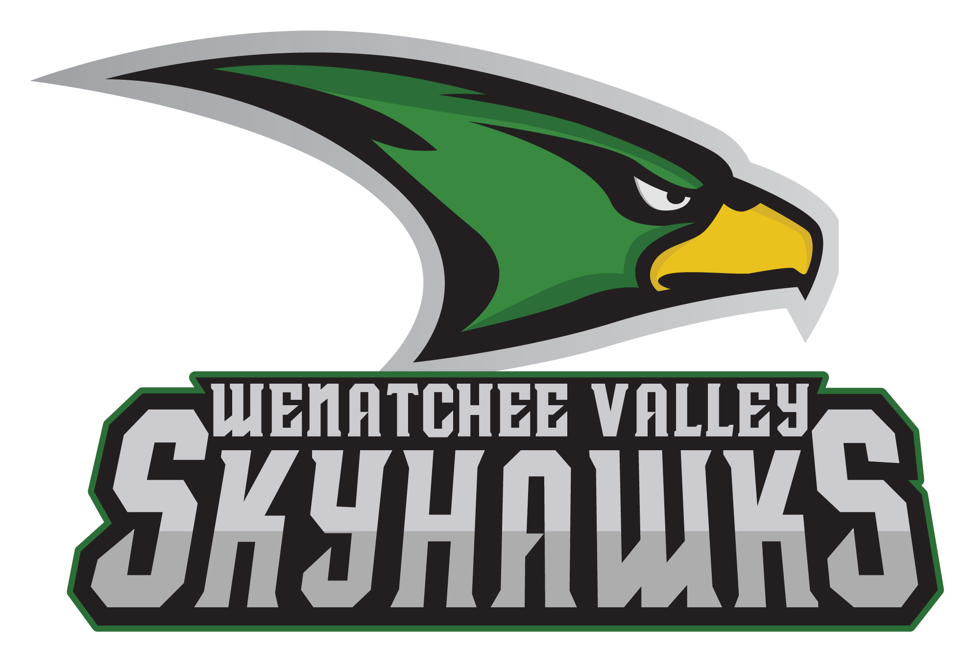 Wenatchee Valley Skyhawks Png (teal, black, silver, white)