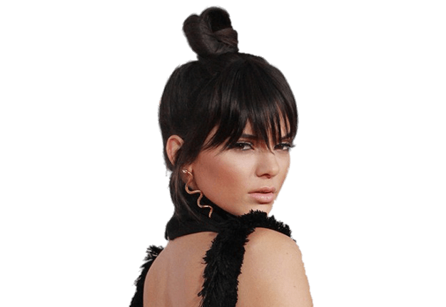 Kendall Jenner Png Image (gray, black)