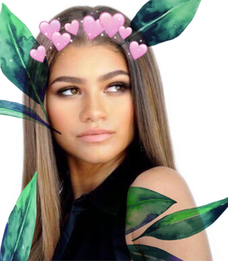 Zendaya Transparent Background (black)