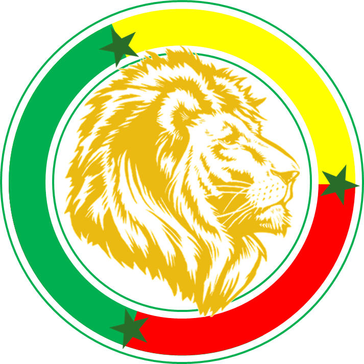 Senegal National Football Team Png (red, white, yellow, teal, gray)