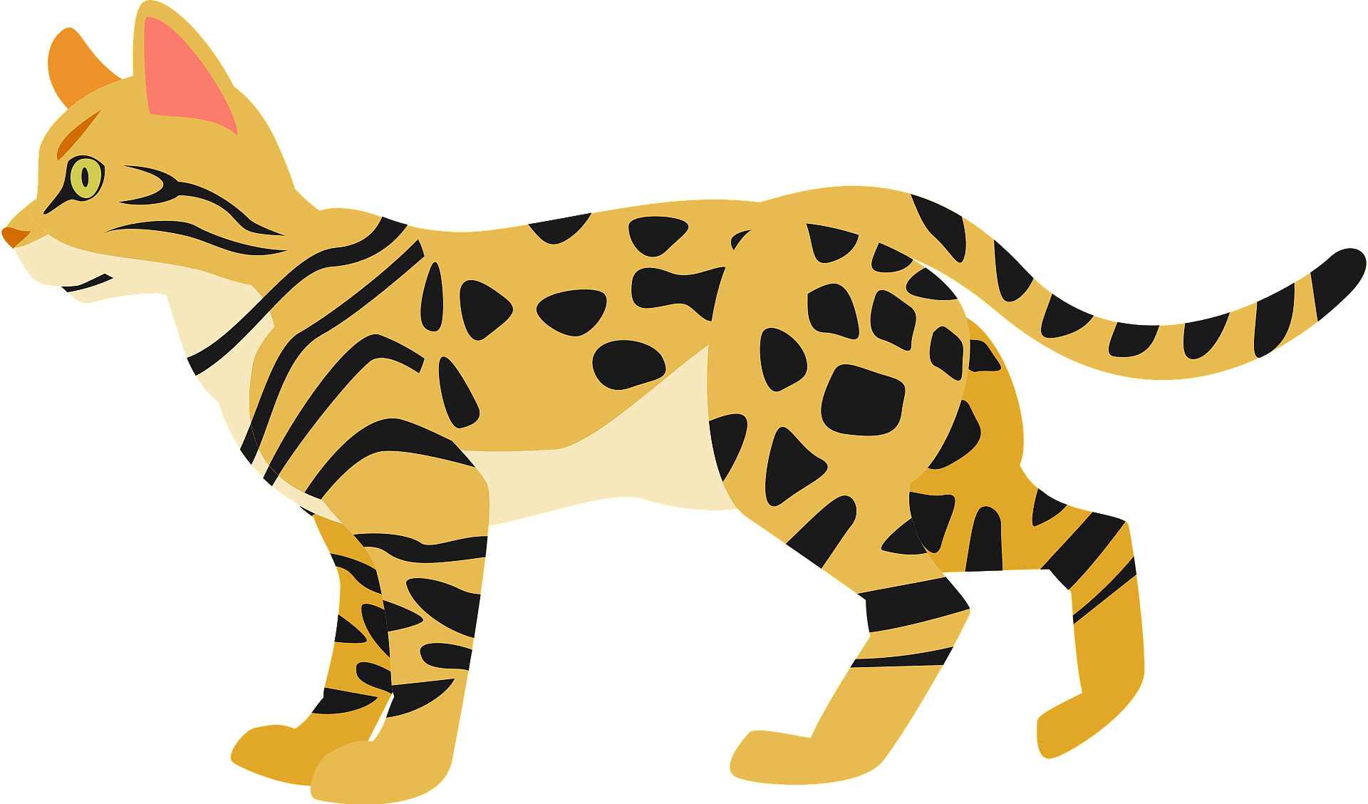 Bengal Cats Transparent Png (salmon, gray, beige)