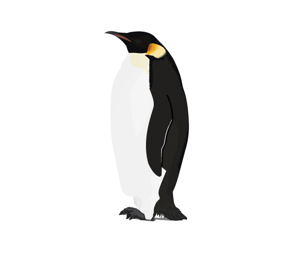 Penguin Png Free Download (lavender, black, white)