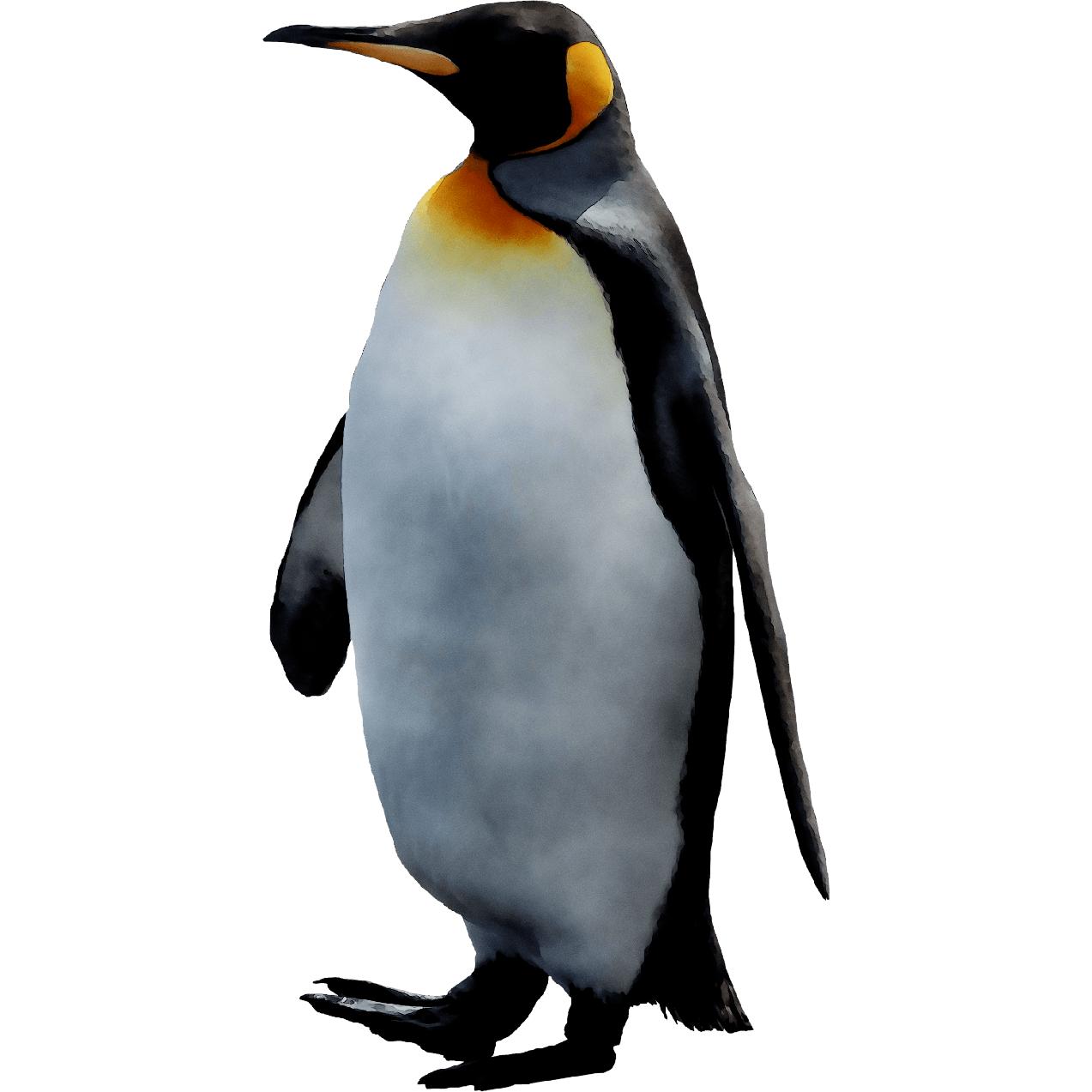 Penguin Png Hd Isolated (gray, black)