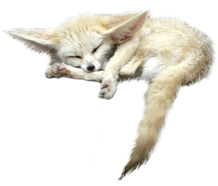 Fennec Fox Png File (black, silver)