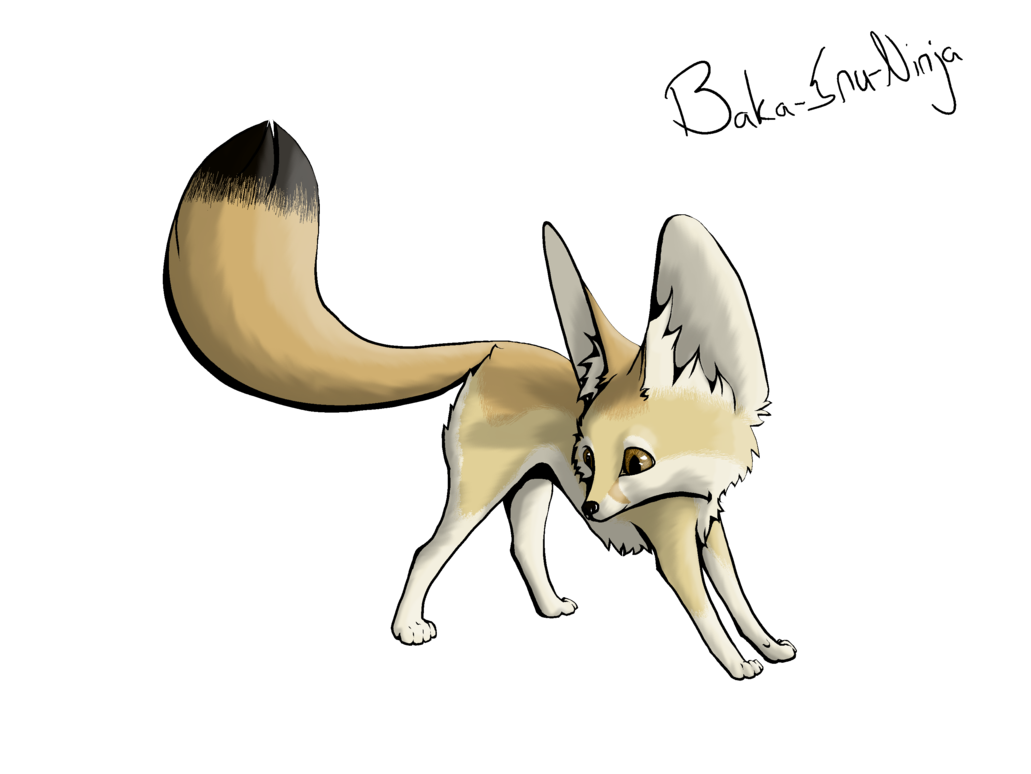 Fennec Fox Transparent Png (black, silver, gray, salmon)