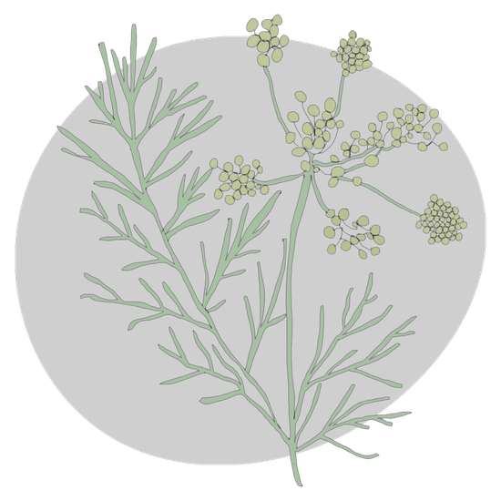 Fennel Png Hd Isolated (black, silver)