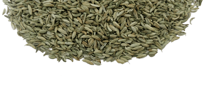 Fennel Png Isolated Photo (gray)