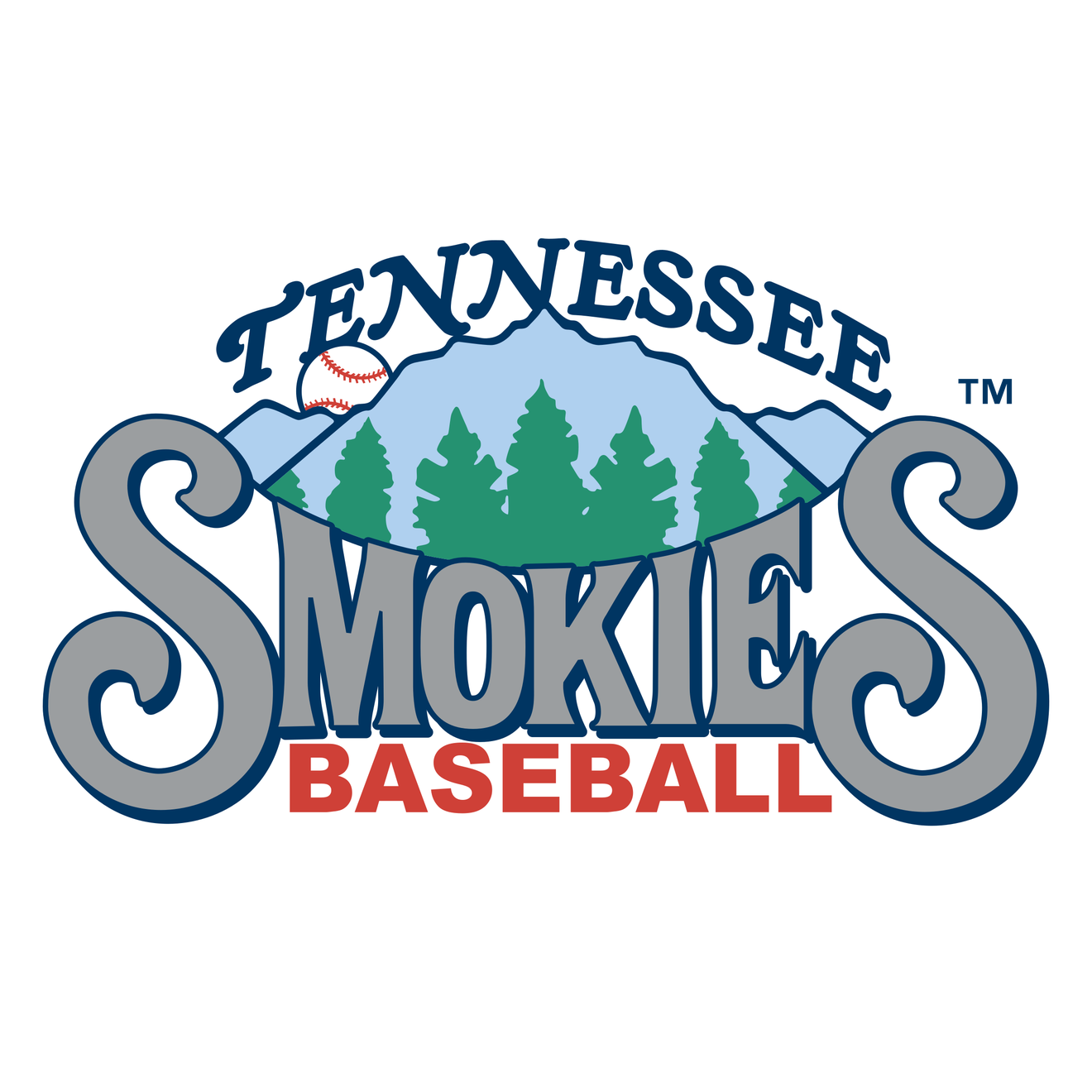 Tennessee Smokies Png Hd (black, gray, white, teal, silver)