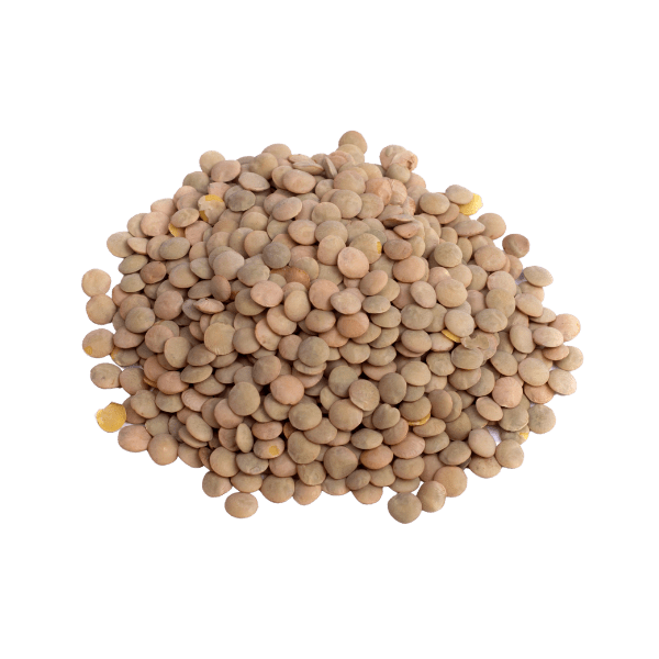 Lentils Png Image (gray)