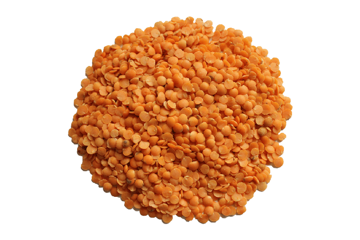 Lentils Png Isolated Pic (gray)