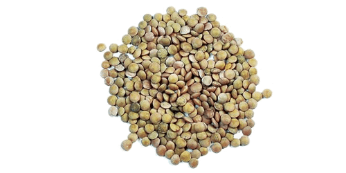 Lentils Png (gray)