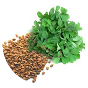 Fenugreek Leaf Png Hd Isolated (black, white)