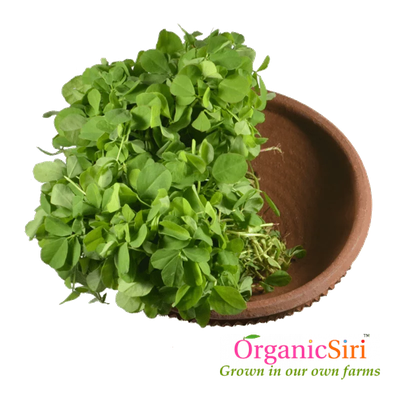 Fenugreek Leaf Png Picture (black, olive)