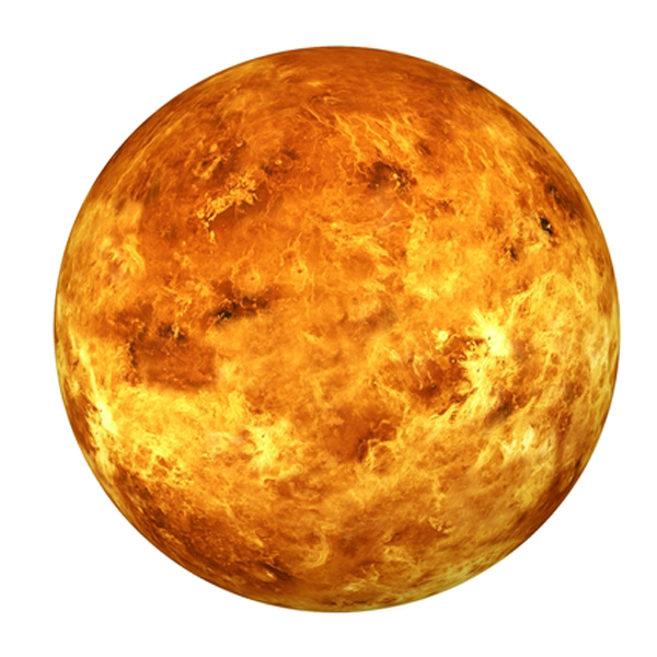 Venus Png Photos (chocolate, orange, white)