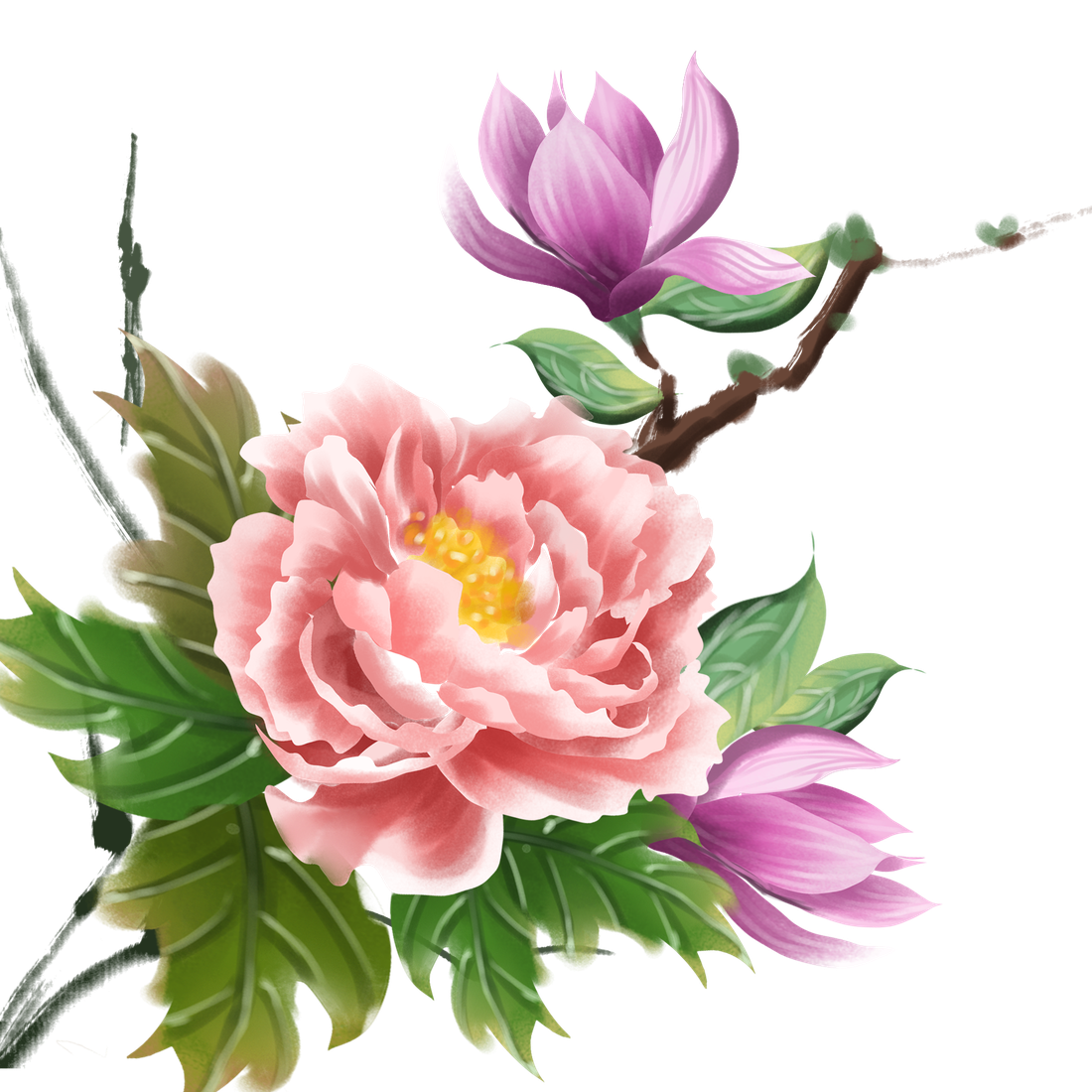 Peony Flower Png Pic (black)