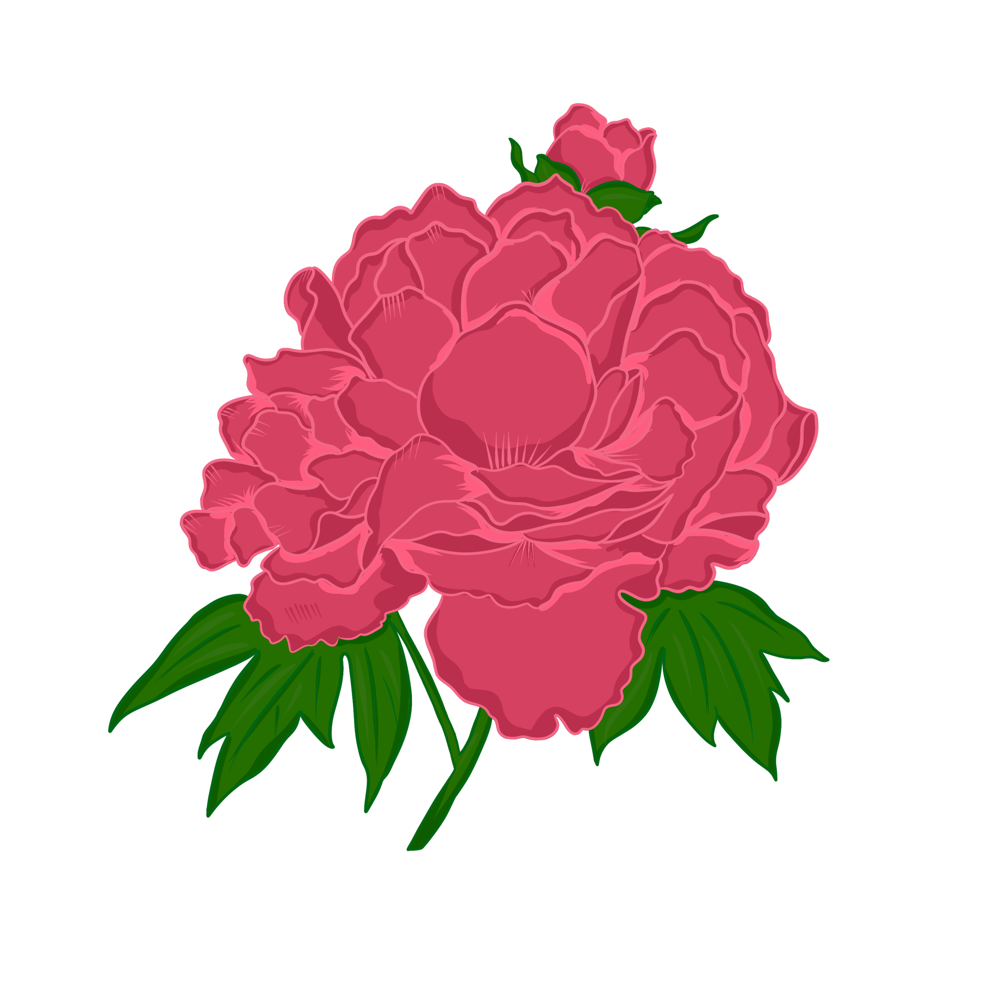 Peony Png File (black, salmon, red, white)