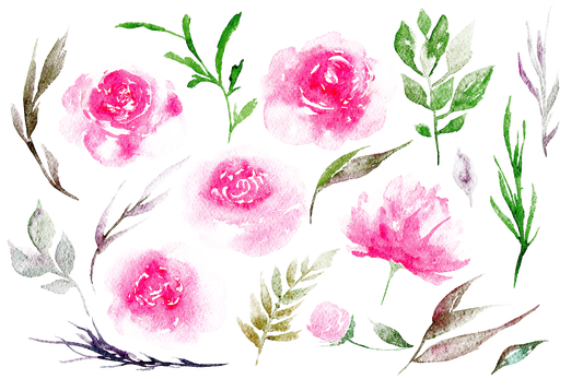 Peony Png Image (black)